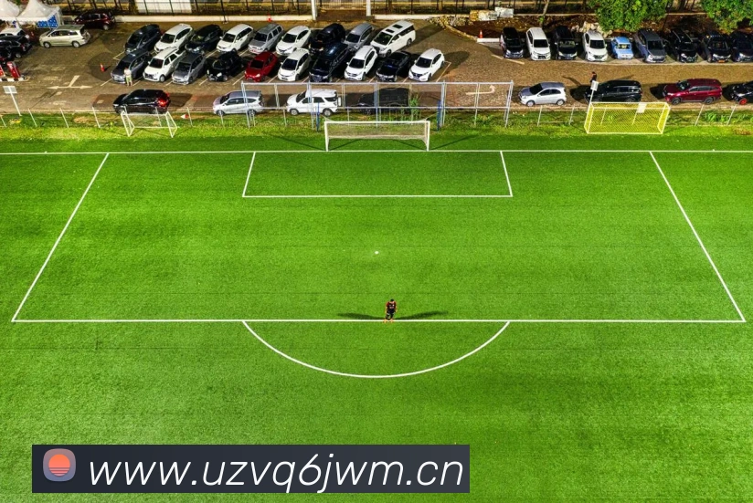 beat365唯一官网平台生态图